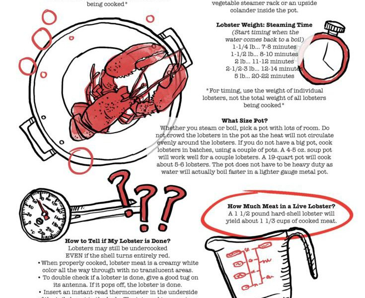 Cooking Lobster Tips Times Infographic Best Infographics