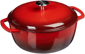 Enameled Cast Iron And Chipping Cookware Hungry Onion